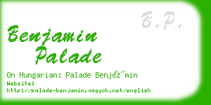 benjamin palade business card